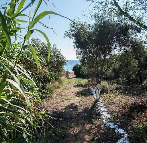 Golden * Vromonerion